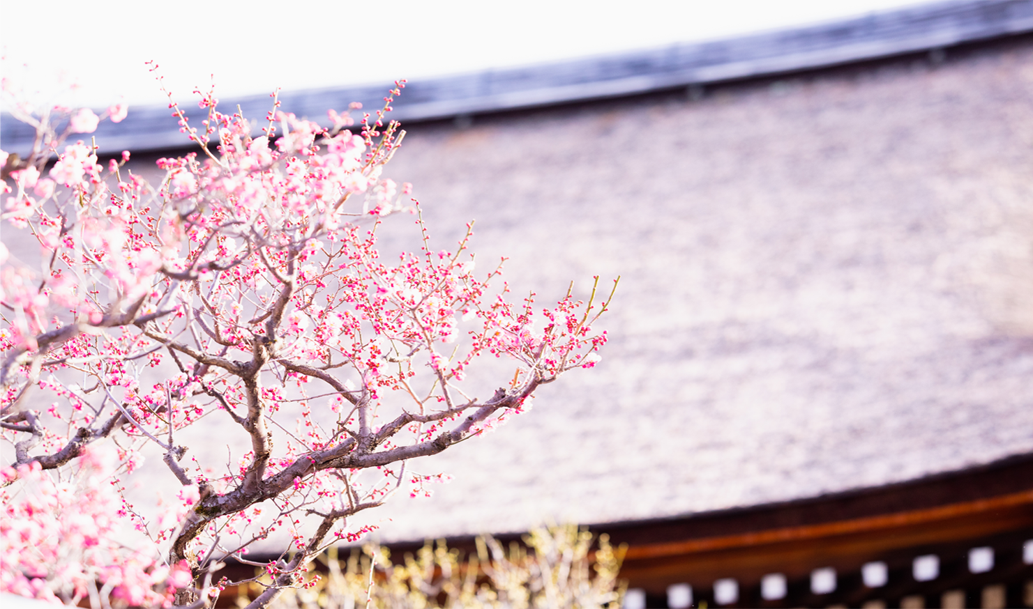 Banner 3