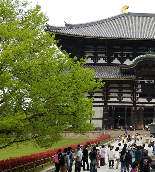 Nara Wonderful Tour