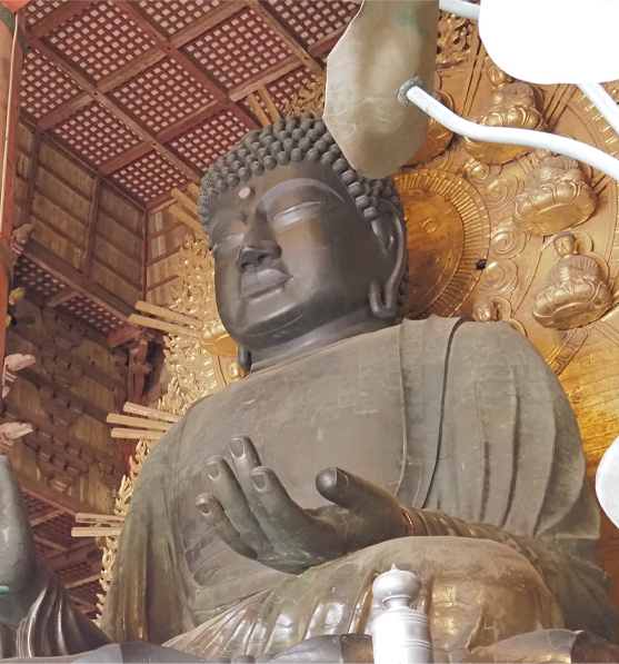 Nara Wonderful Tour